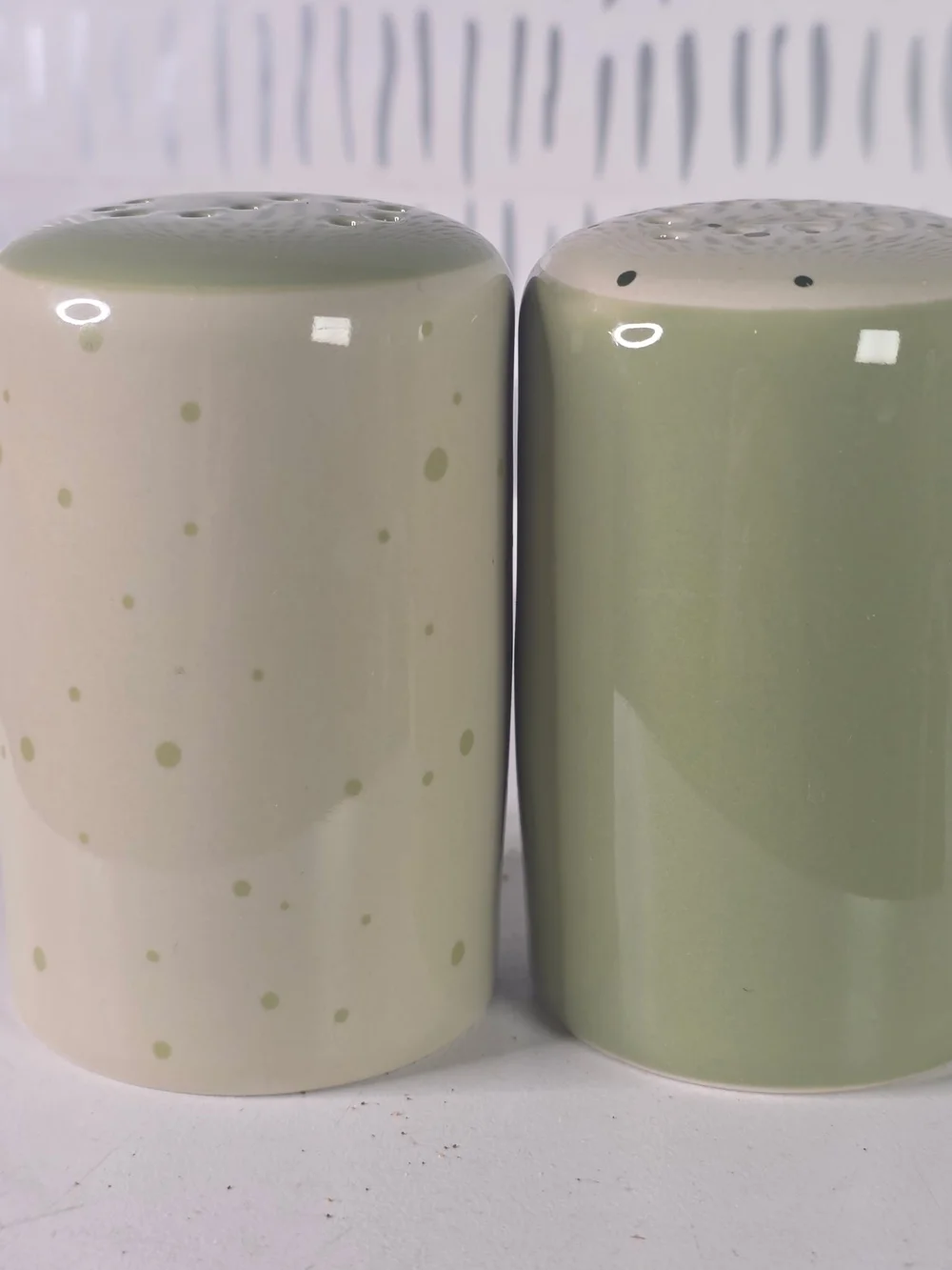 Salt and Pepper Shaker Set with DS2 Logo - Sage Green & Cream